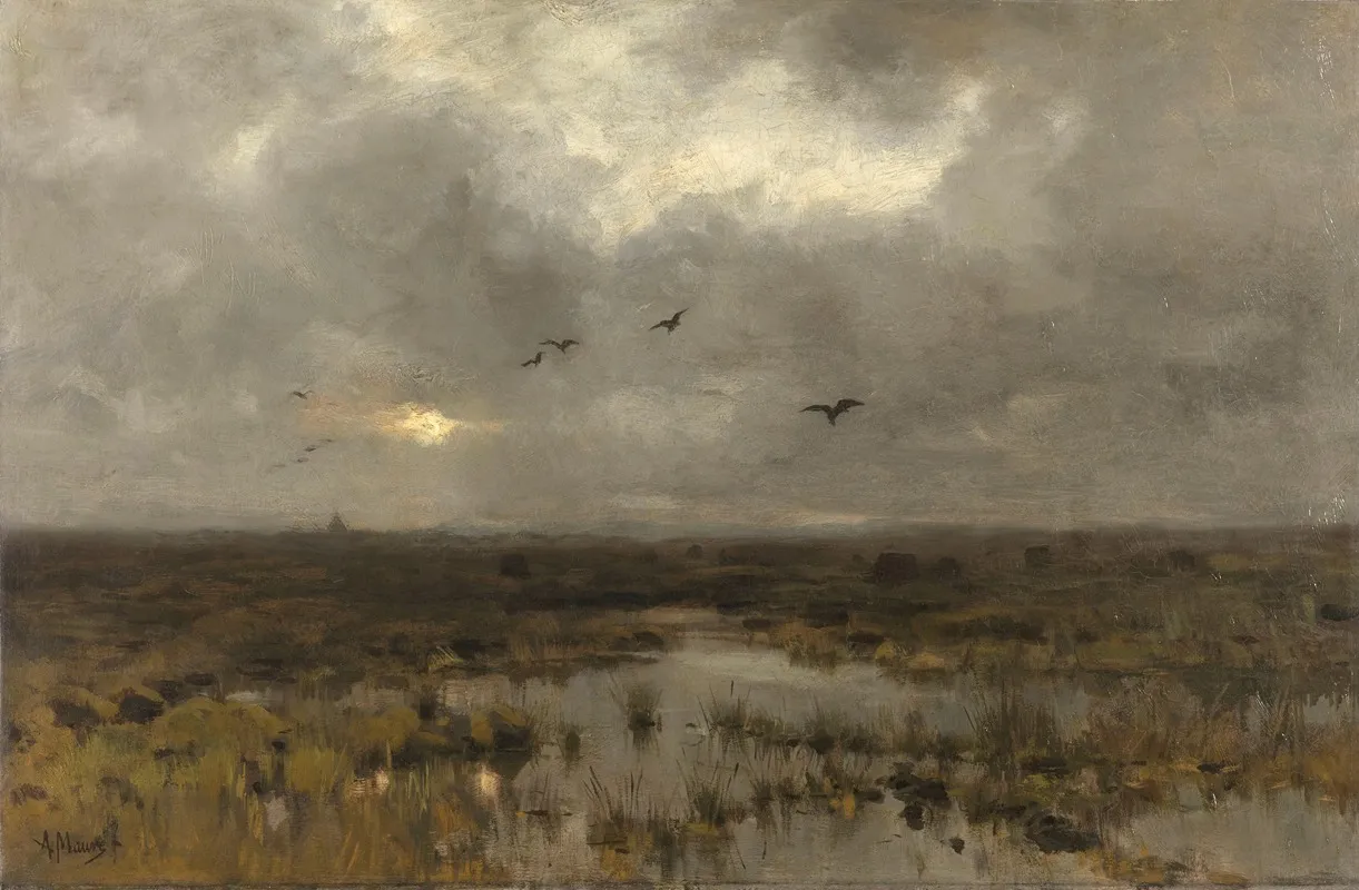 The Marsh 3