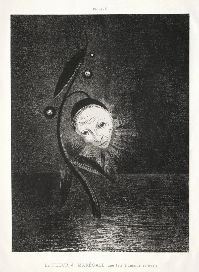 The Marsh Flower A Sad Human Head