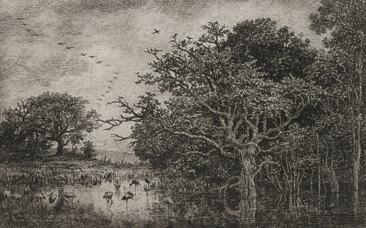 The Marsh With Storks