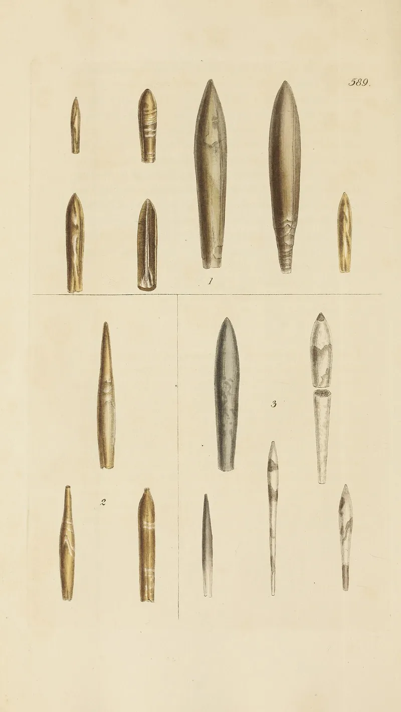 The Mineral Conchology Of Great Britain Pl 377