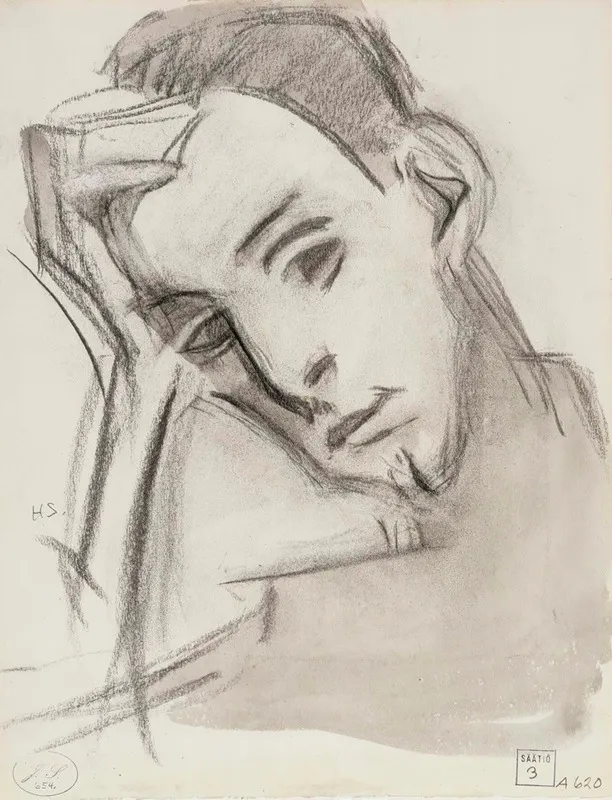 The Nephew by Helene Schjerfbeck - Canvas Print