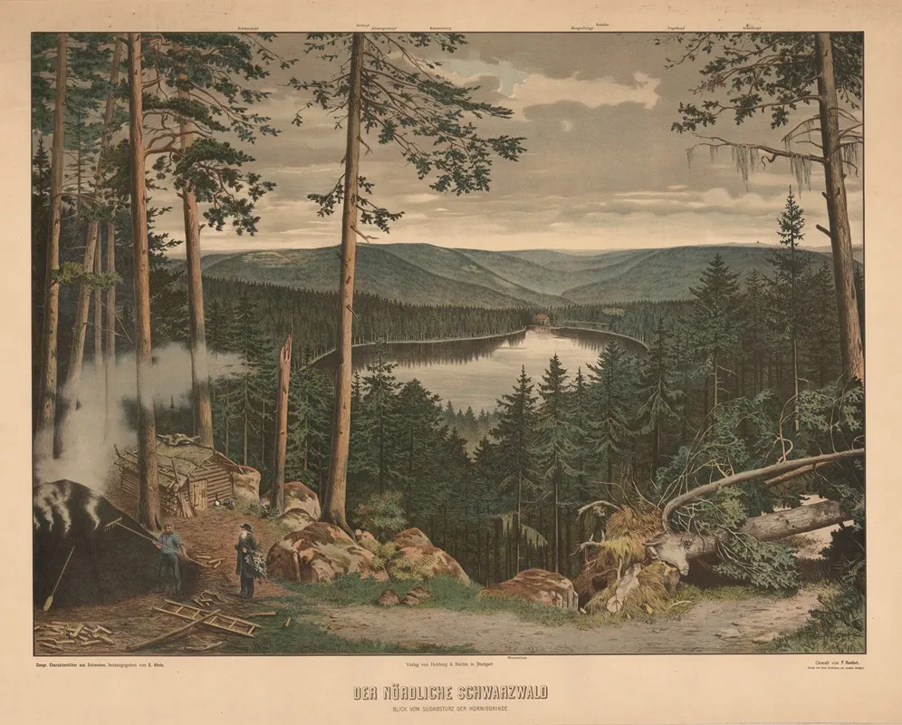 The Northern Black Forest by Friedrich Ronfort - Canvas Print