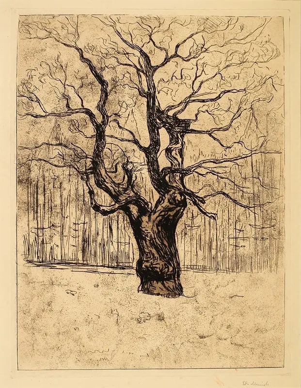 The Oak 2