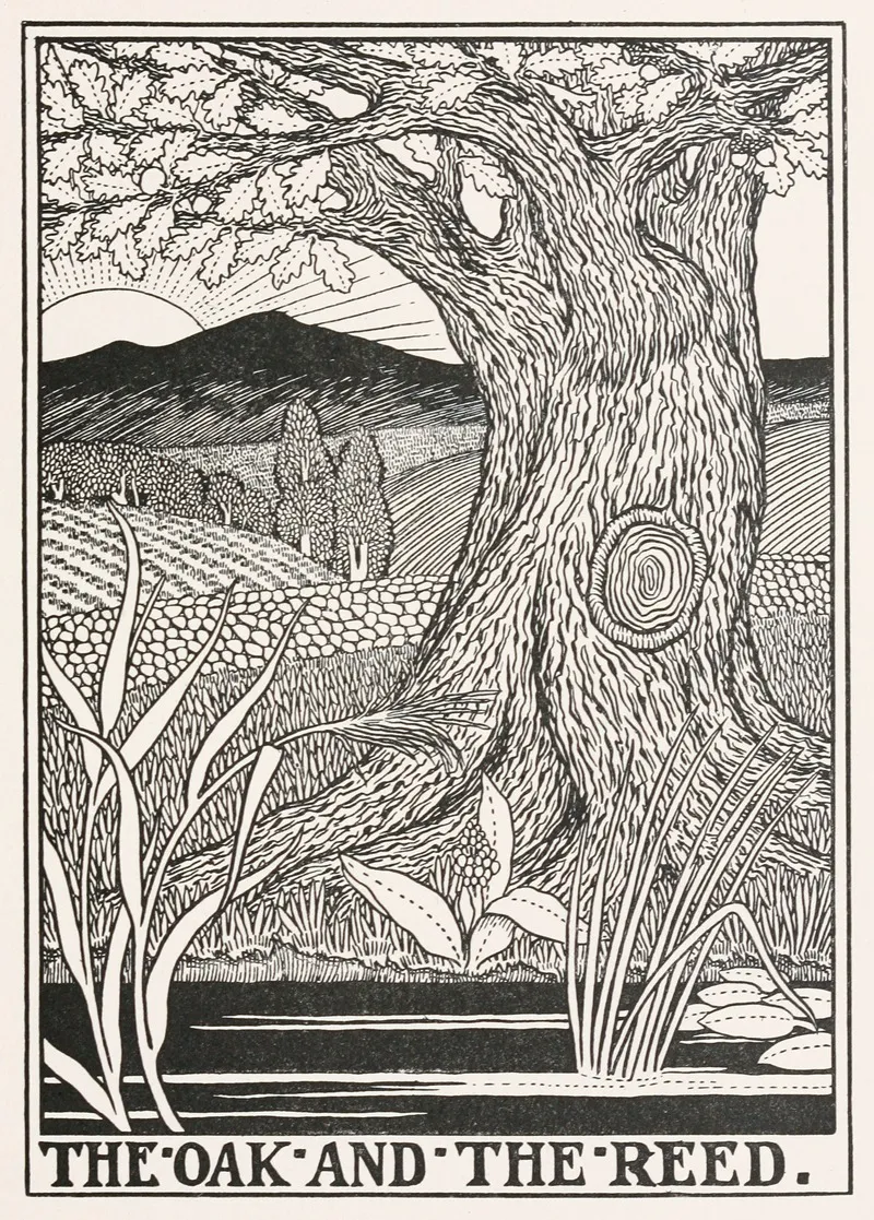 The Oak And The Reed