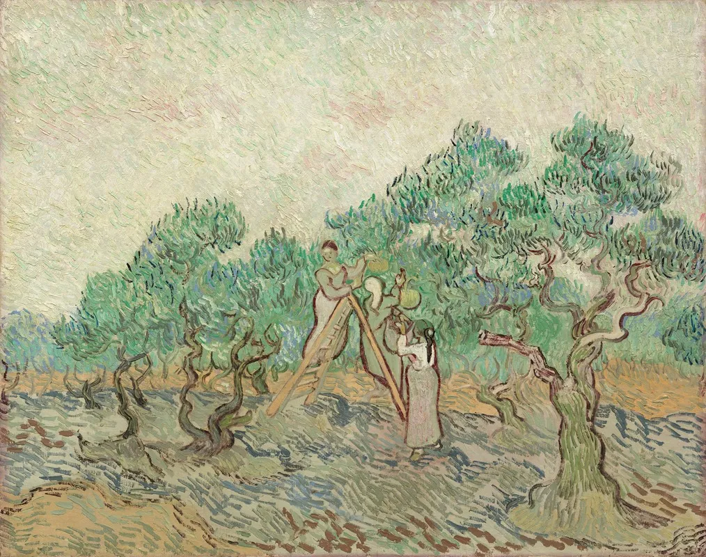 The Olive Orchard by Vincent van Gogh - Canvas Print