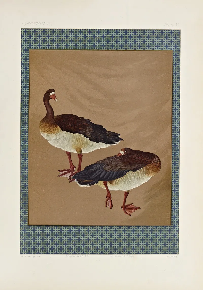 The Ornamental Arts Of Japan Pl 027 by George Ashdown Audsley - Canvas Print