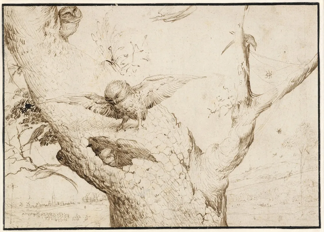 The Owls Nest