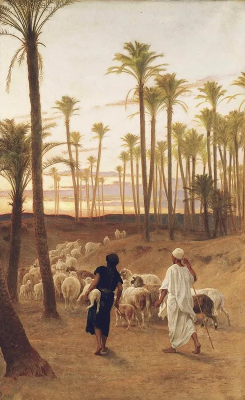 The Palm Grove