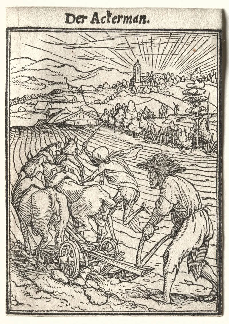 The Ploughman 4