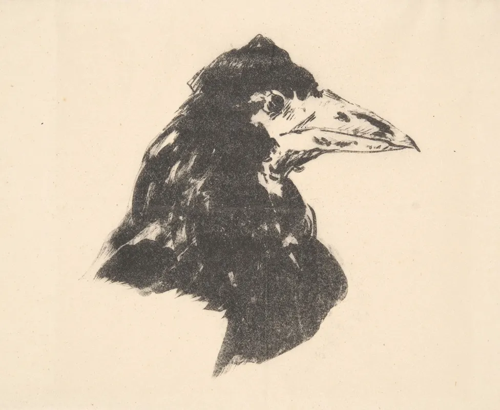 The Raven Le Corbeau Design For The Cover