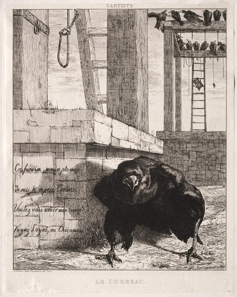 The Raven by Félix Bracquemond - Canvas Print