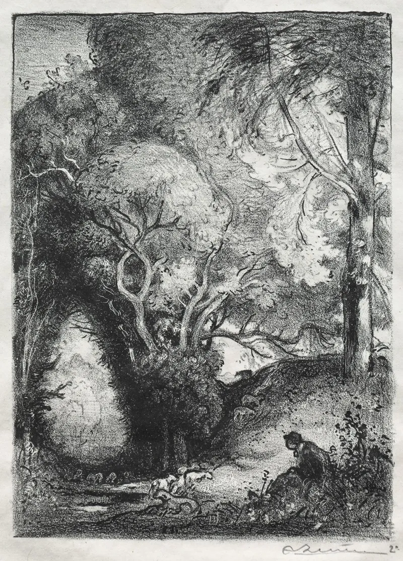 The Ravine In June