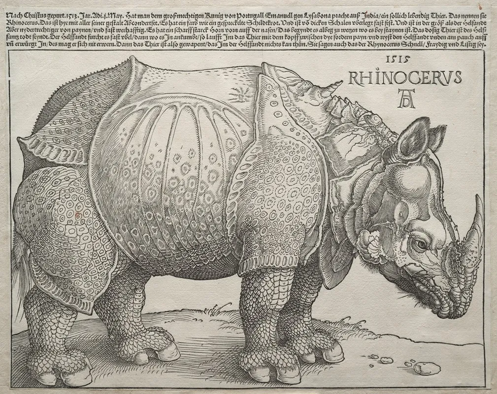 The Rhinoceros 2