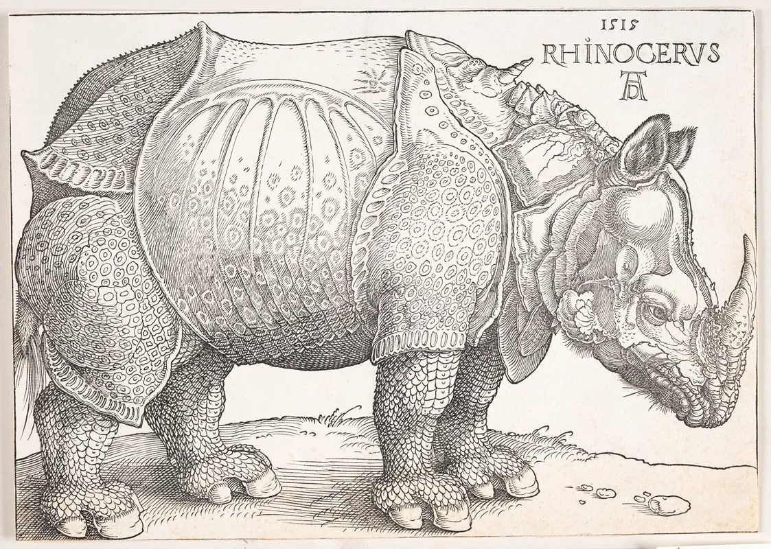 The Rhinoceros