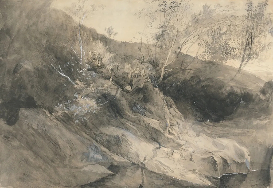 The Rocky Bank Of A River by John Ruskin - Canvas Print