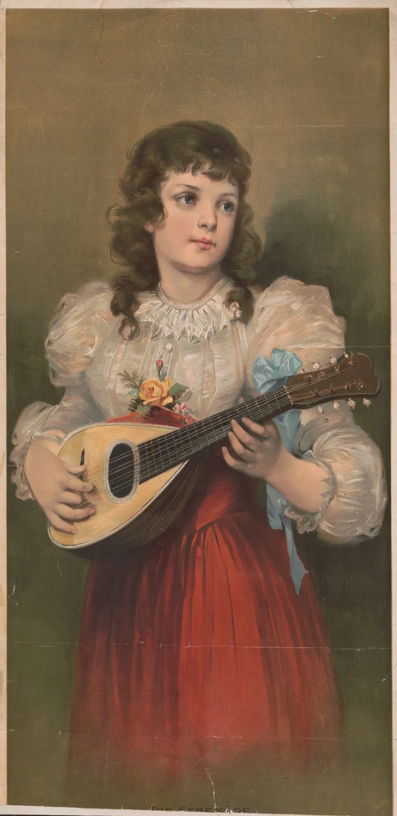 The Serenade 8 by Knapp &amp; Co. - Canvas Print