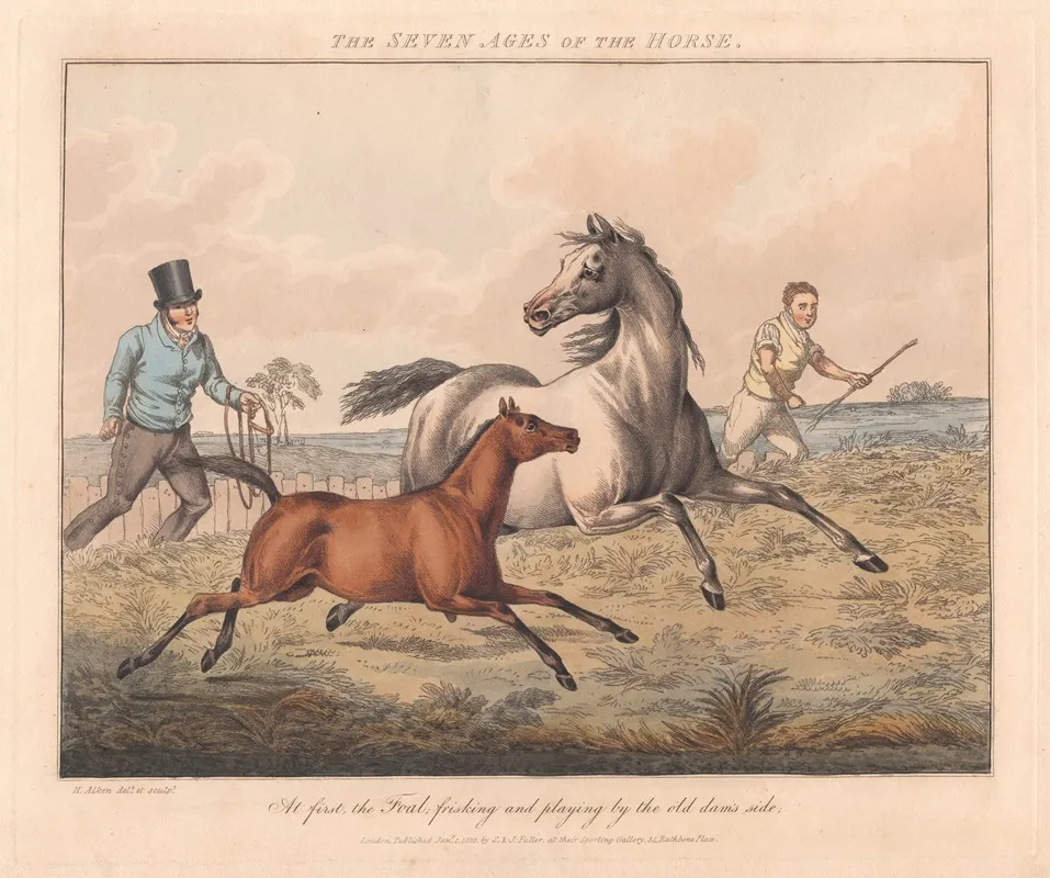 The Seven Ages Of The Horse 5
