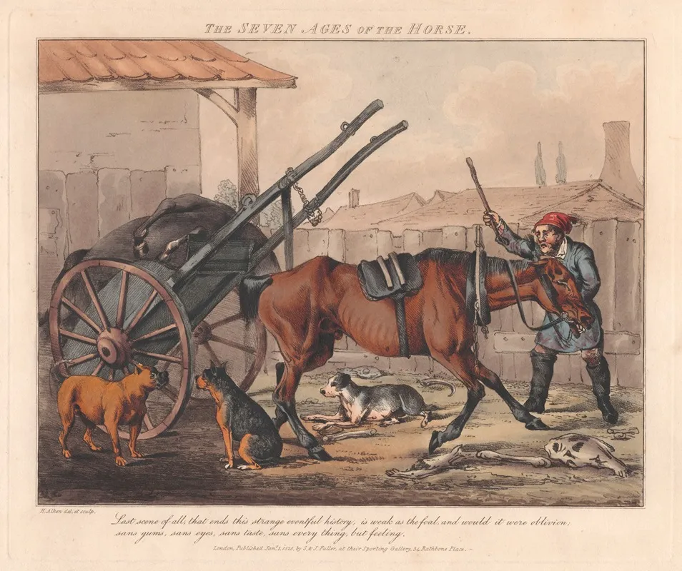 The Seven Ages Of The Horse 6