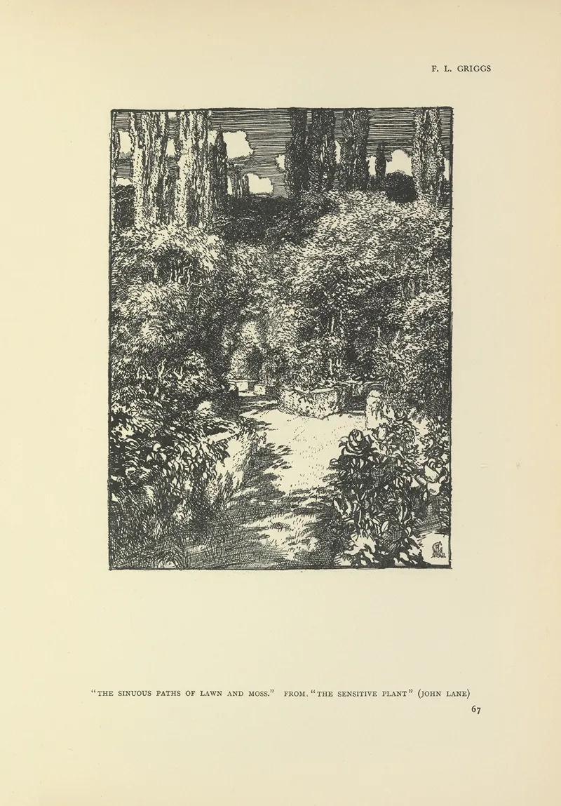 The Sinuous Paths Of Lawn And Moss The Sensitive Plant