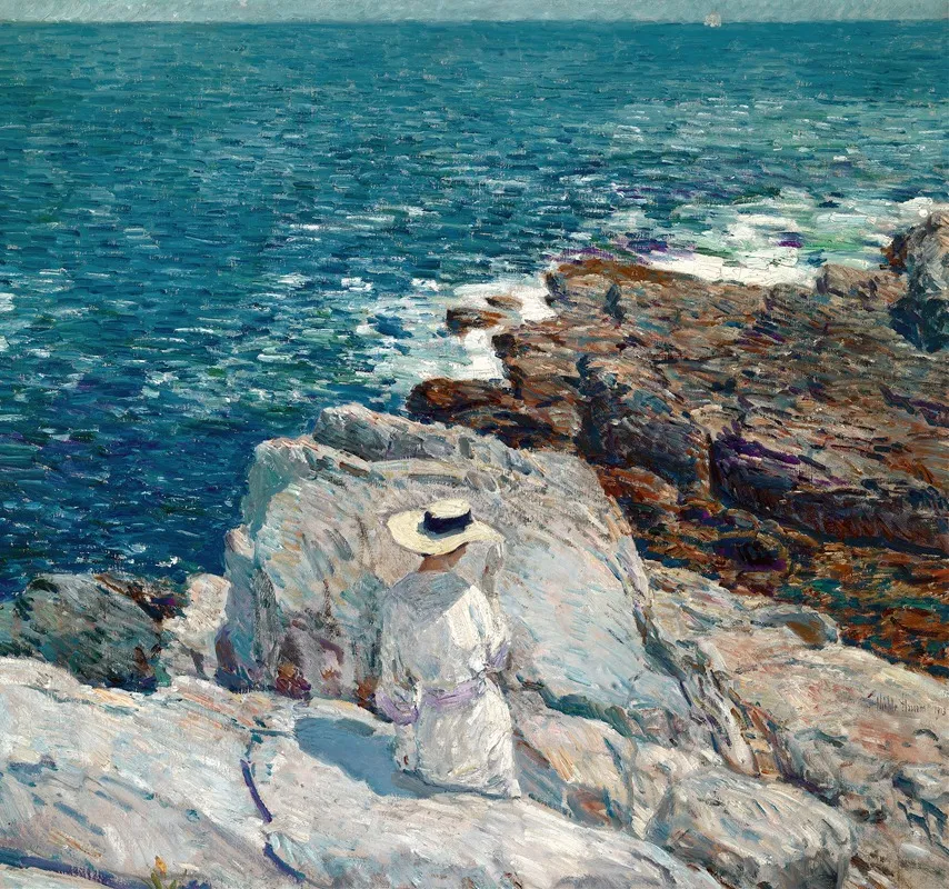 The South Ledges Appledore