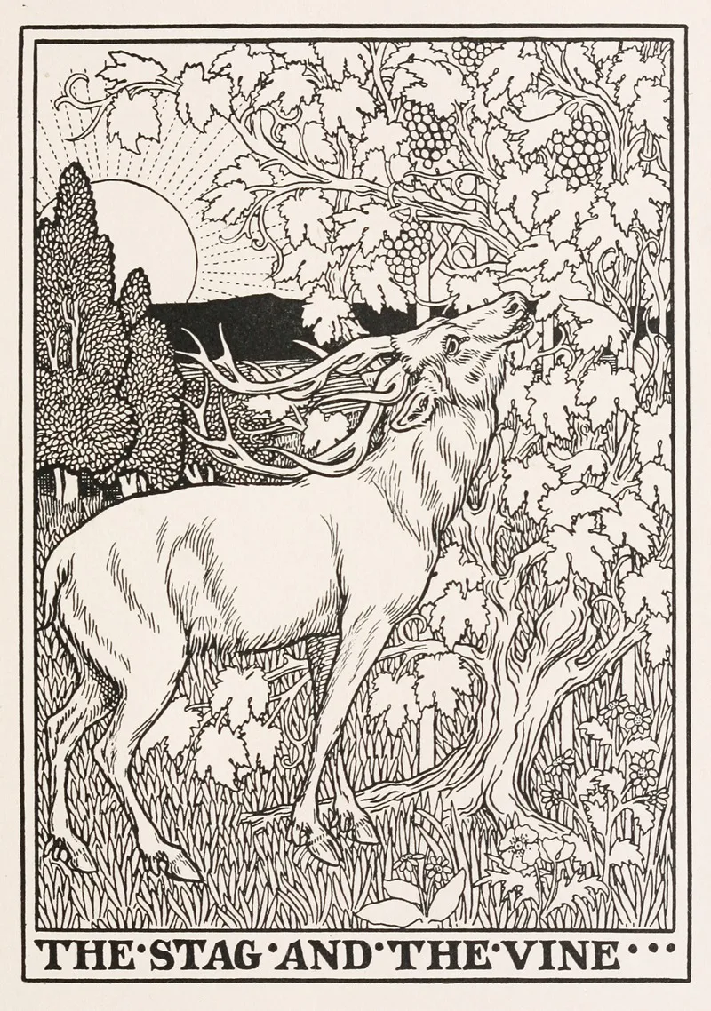 The Stag And The Vine