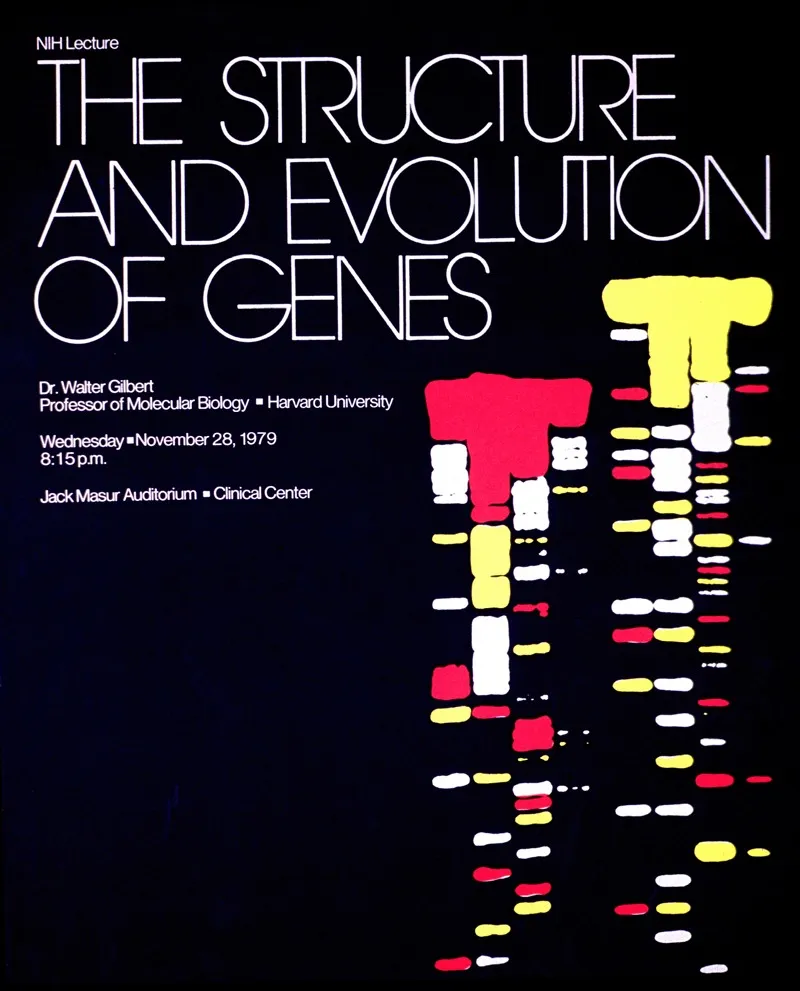 The Structure And Evolution Of Genes