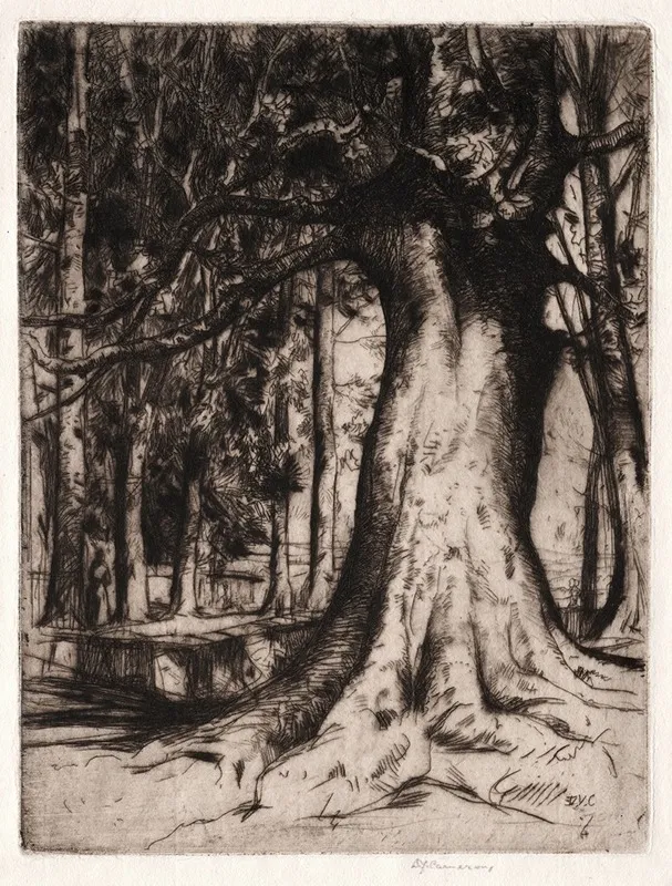 The Sycamore