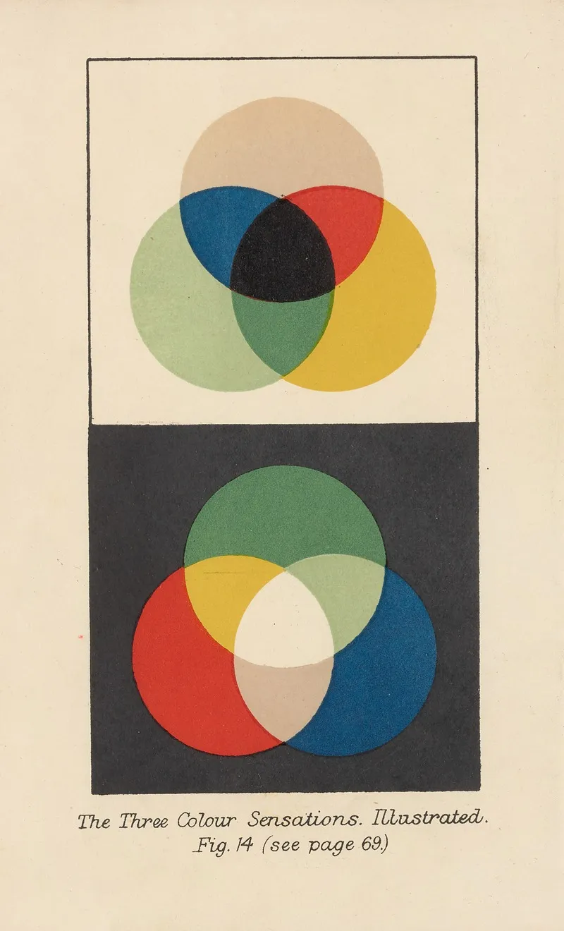 The Three Colour Sensations