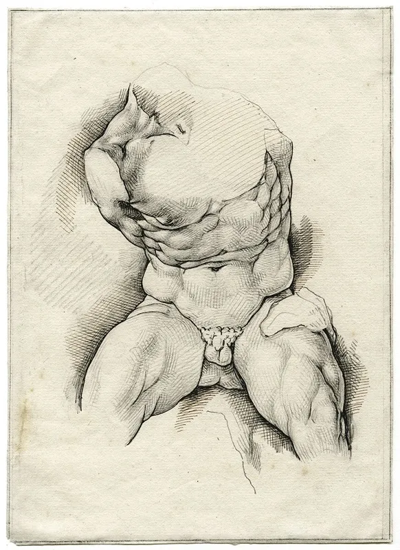 The Torso Belvedere 2 by David Humbert de Superville - Canvas Print