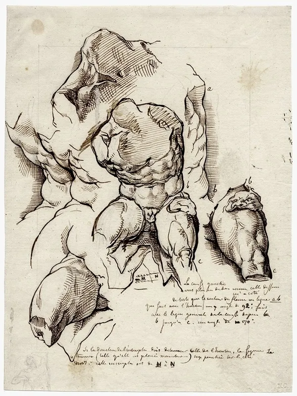 The Torso Belvedere by David Humbert de Superville - Canvas Print