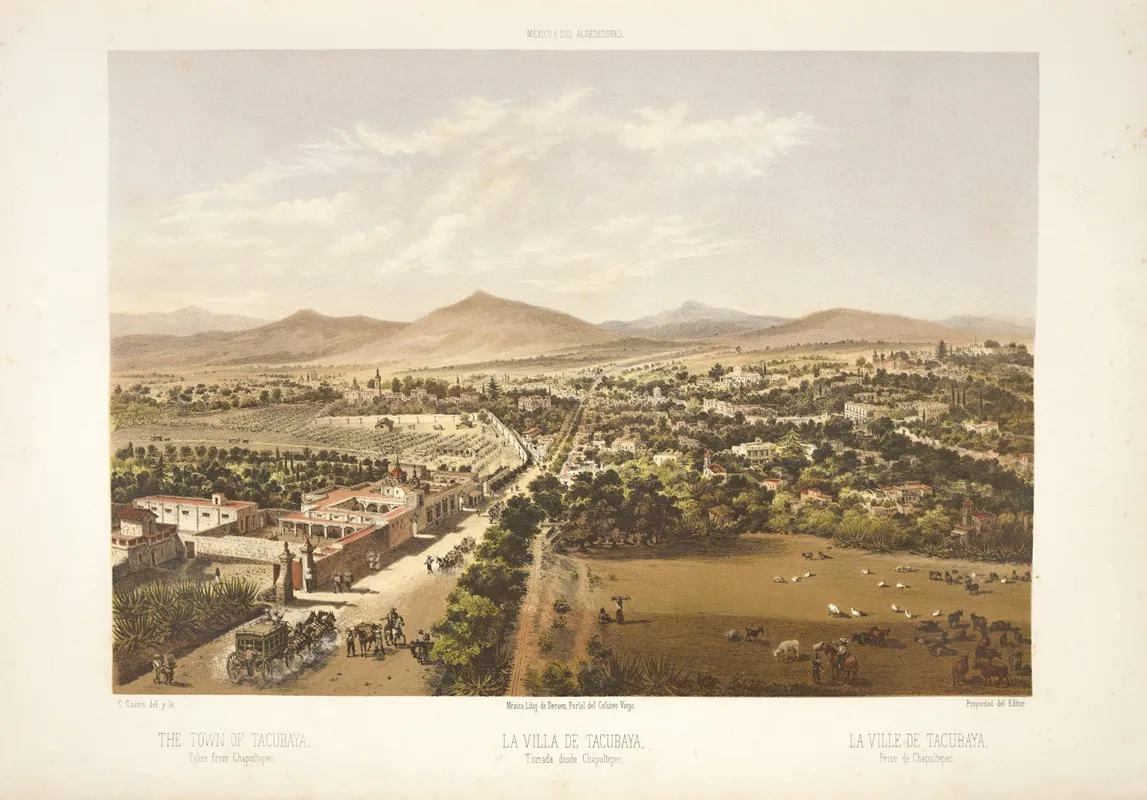 The Town Of Tacubaya Taken From Chapultepec by C. Castro - Canvas Print