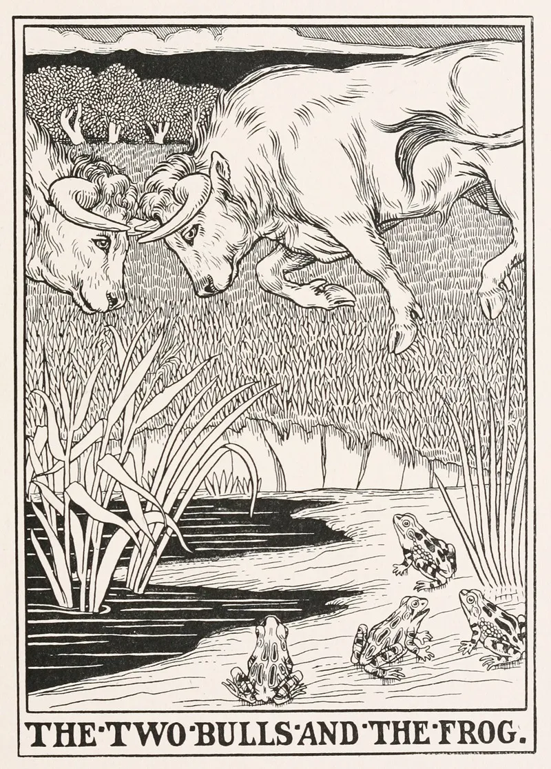 The Two Bulls And The Frog