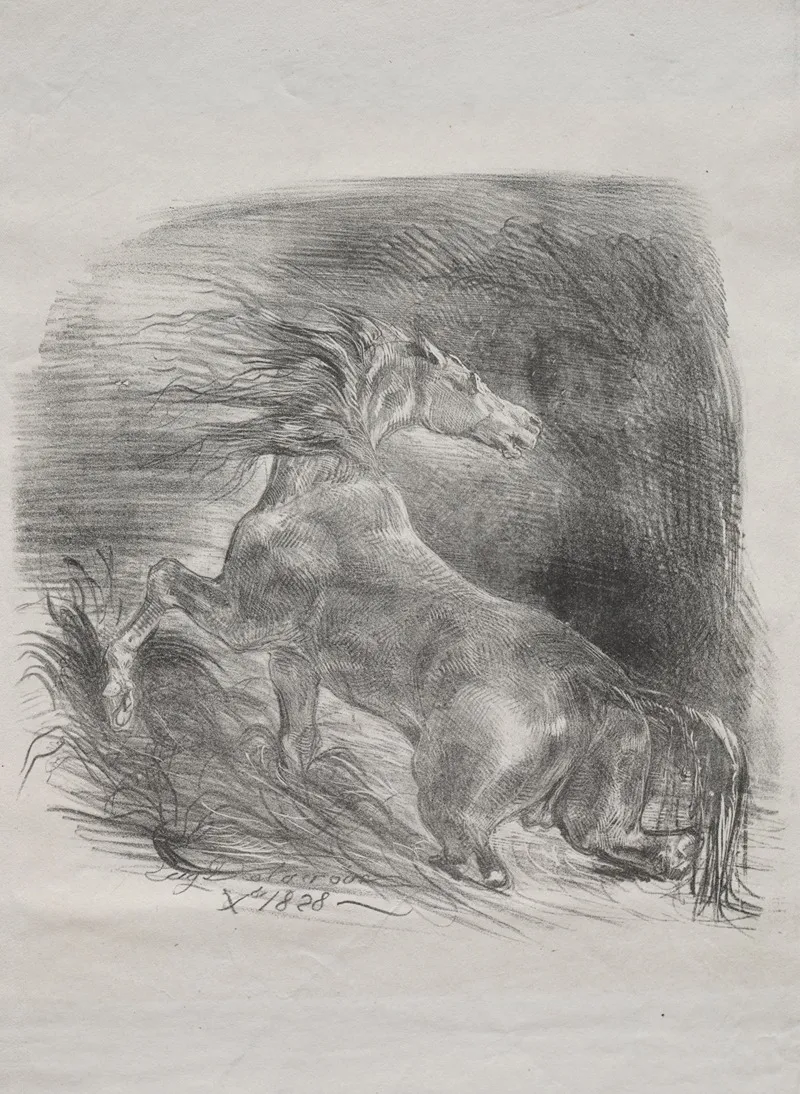 The Wild Horse Or Frightened Horse Leaving The Water 2