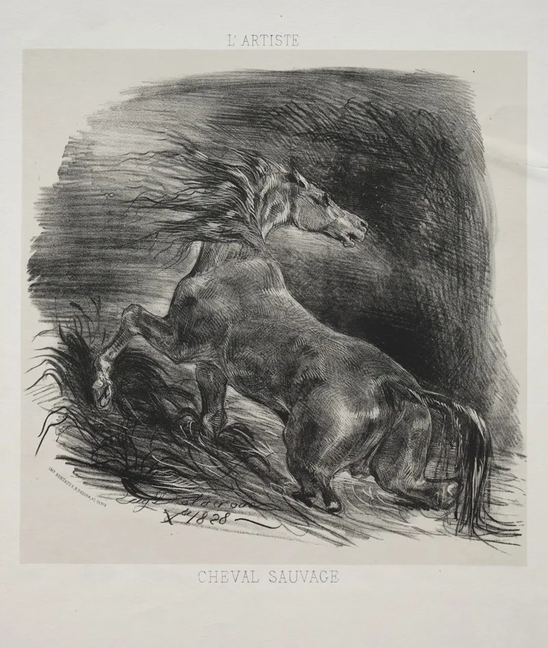 The Wild Horse Or Frightened Horse Leaving The Water