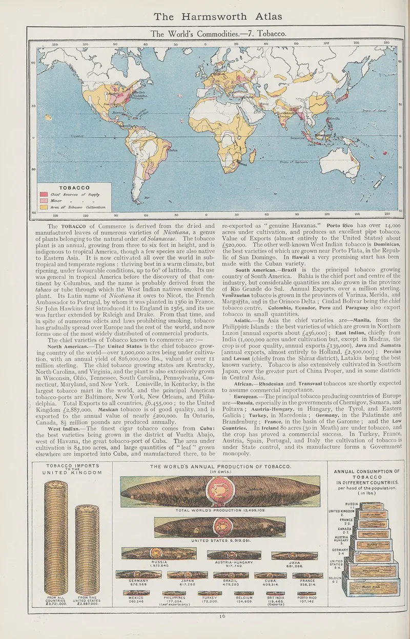 The Worlds Commodities 7 Tobacco by Amalgamated Press - Canvas Print