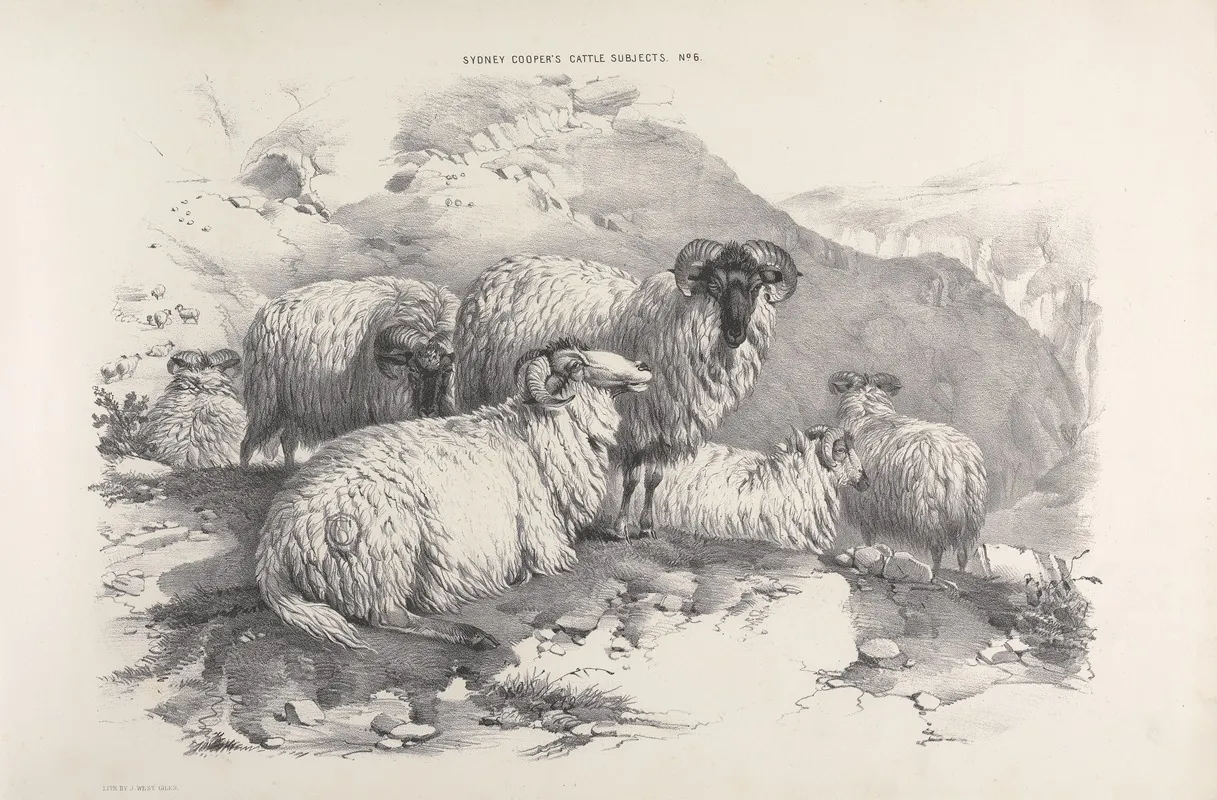 Thomas Sydney Coopers Cattle Subjects Pl 05 by Thomas Sidney Cooper - Canvas Print