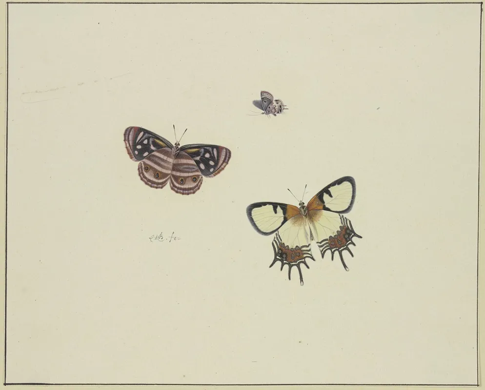 Three Butterflies