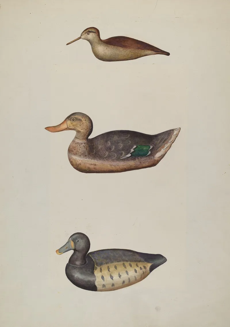 Three Decoy Ducks