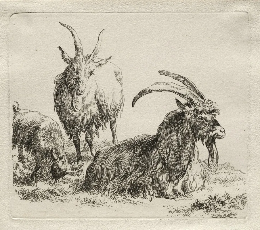 Three Goats 3