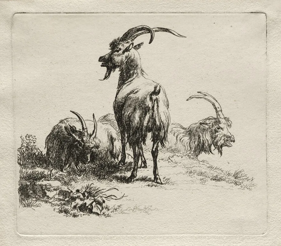 Three Goats 4