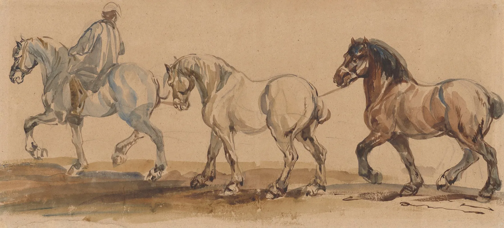 Three Horses Harnessed One Behind The Other