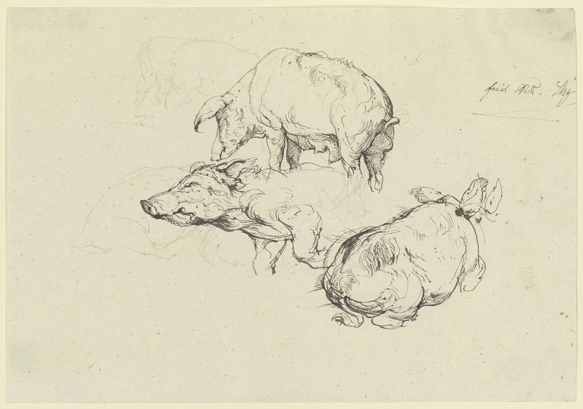 Three Pigs 2 by Friedrich von Nerly - Canvas Print