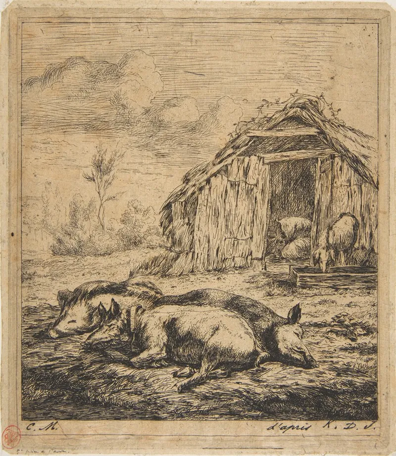 Three Pigs Lying In Front Of A Shed