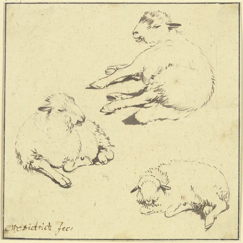 Three Resting Sheep