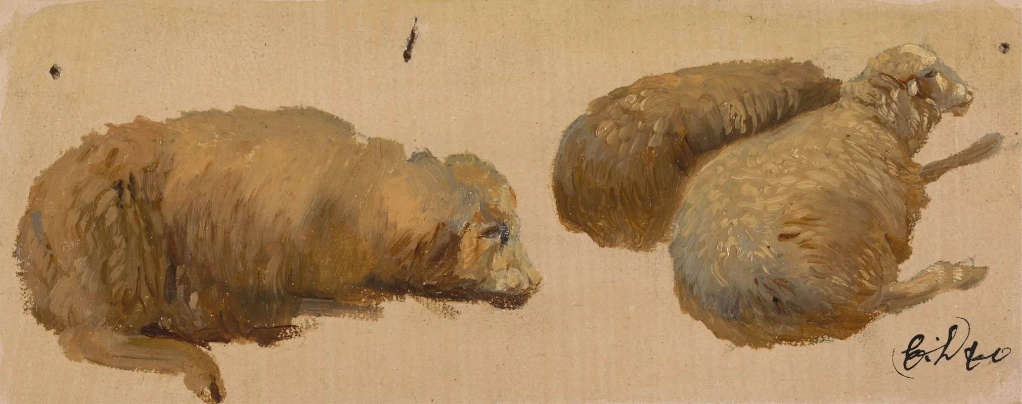 Three Sheep At Rest