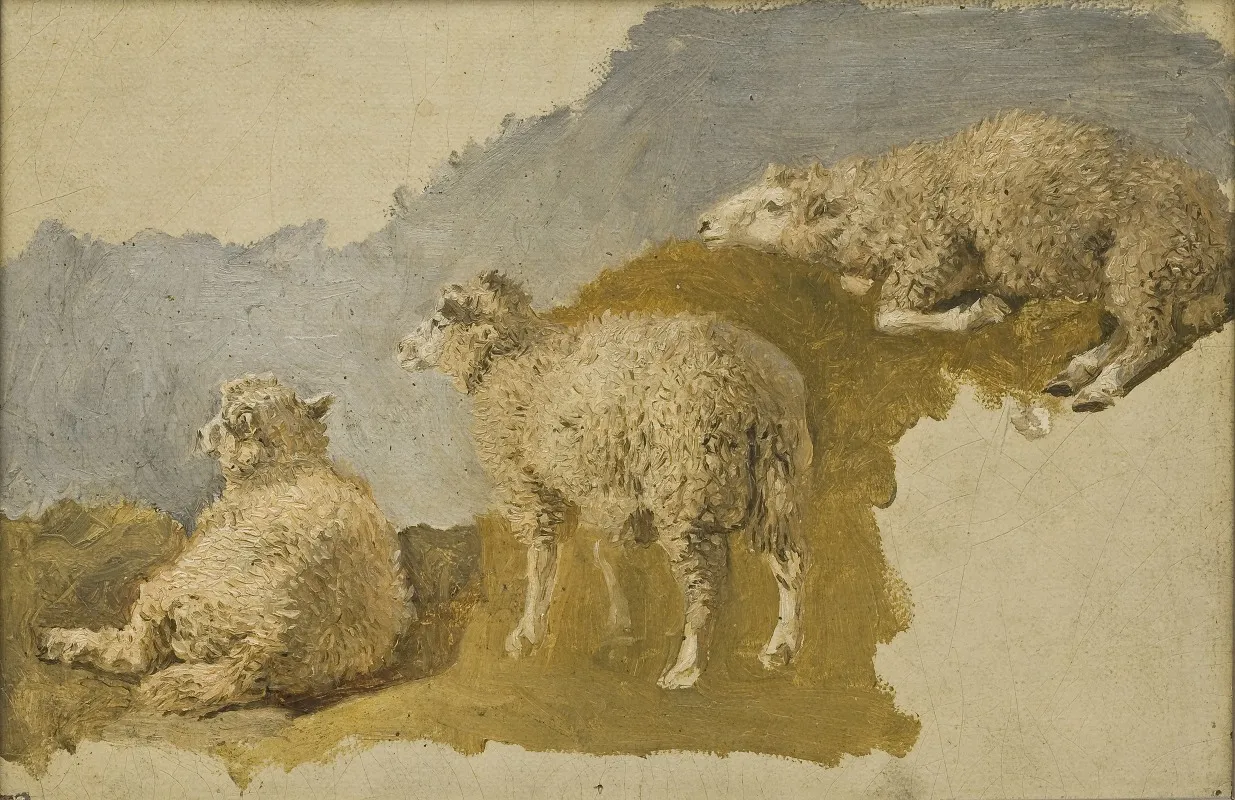 Three Sheep Study 2