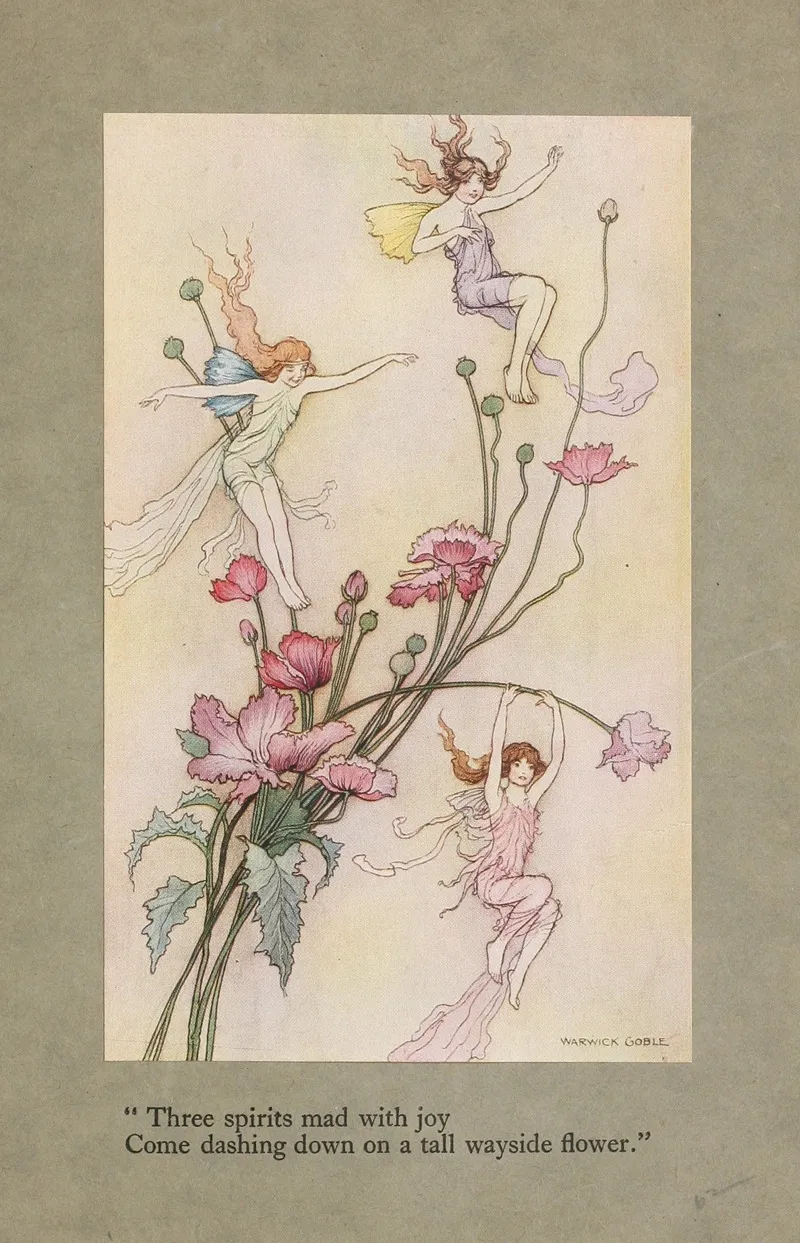 Three Spirits Mad With Joy Come Dashing Down On A Tall Wayside Flower by Warwick Goble - Canvas Print