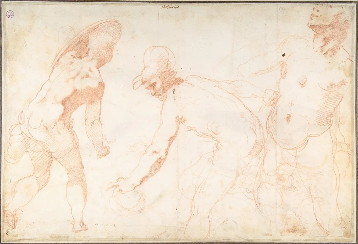 Three Studies Of Soldiers by Taddeo Zuccaro - Canvas Print