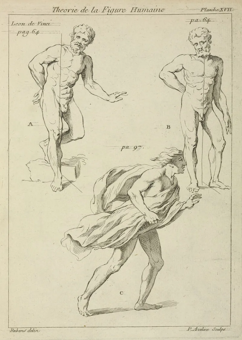 Three Studies Of The Figure