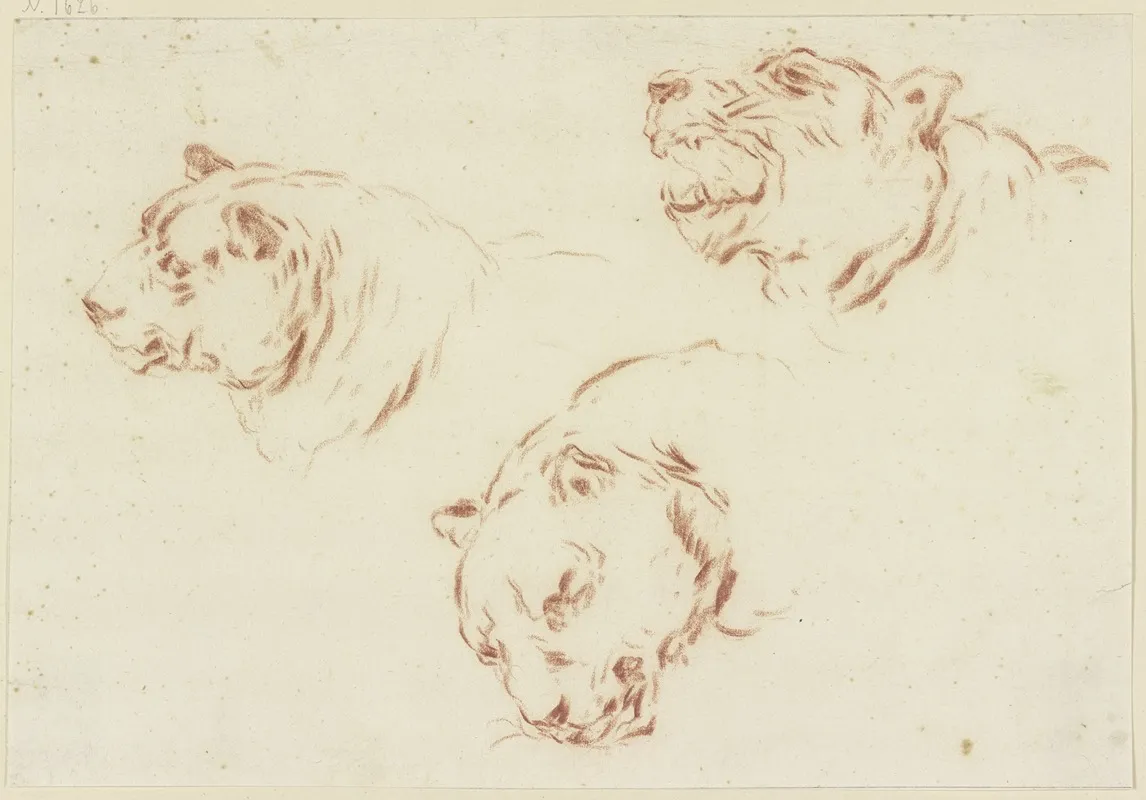 Three Tiger Heads